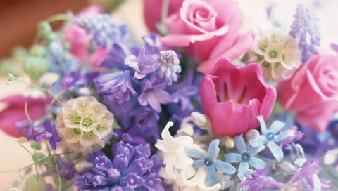 Букет, цветы, красивый, украшение