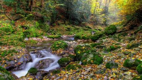 Осень, лес, река, скалы, пейзаж