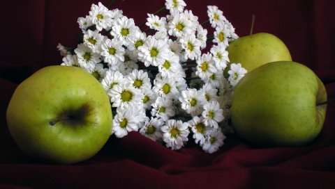 Розы, бутоны, лепестки, лента
