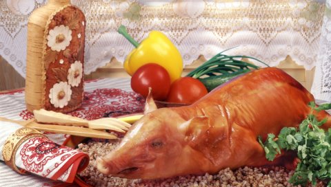 Тюльпаны, поле, цветы, бутоны
