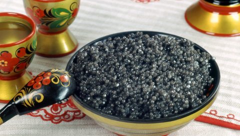 Икра, блюда, еда, ложка, тарелка