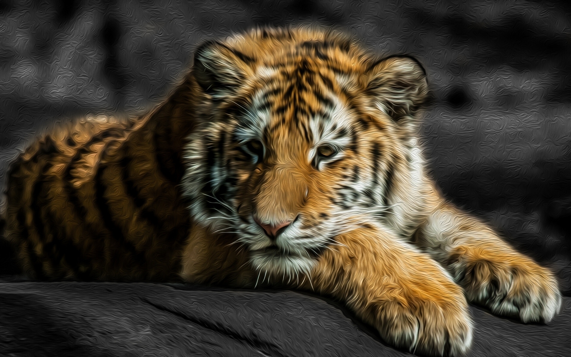 Картинки Тигр, кошка, хищник, ребенок, лечь фото и обои на рабочий стол