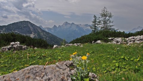 Горы, скалы, деревья, пейзаж