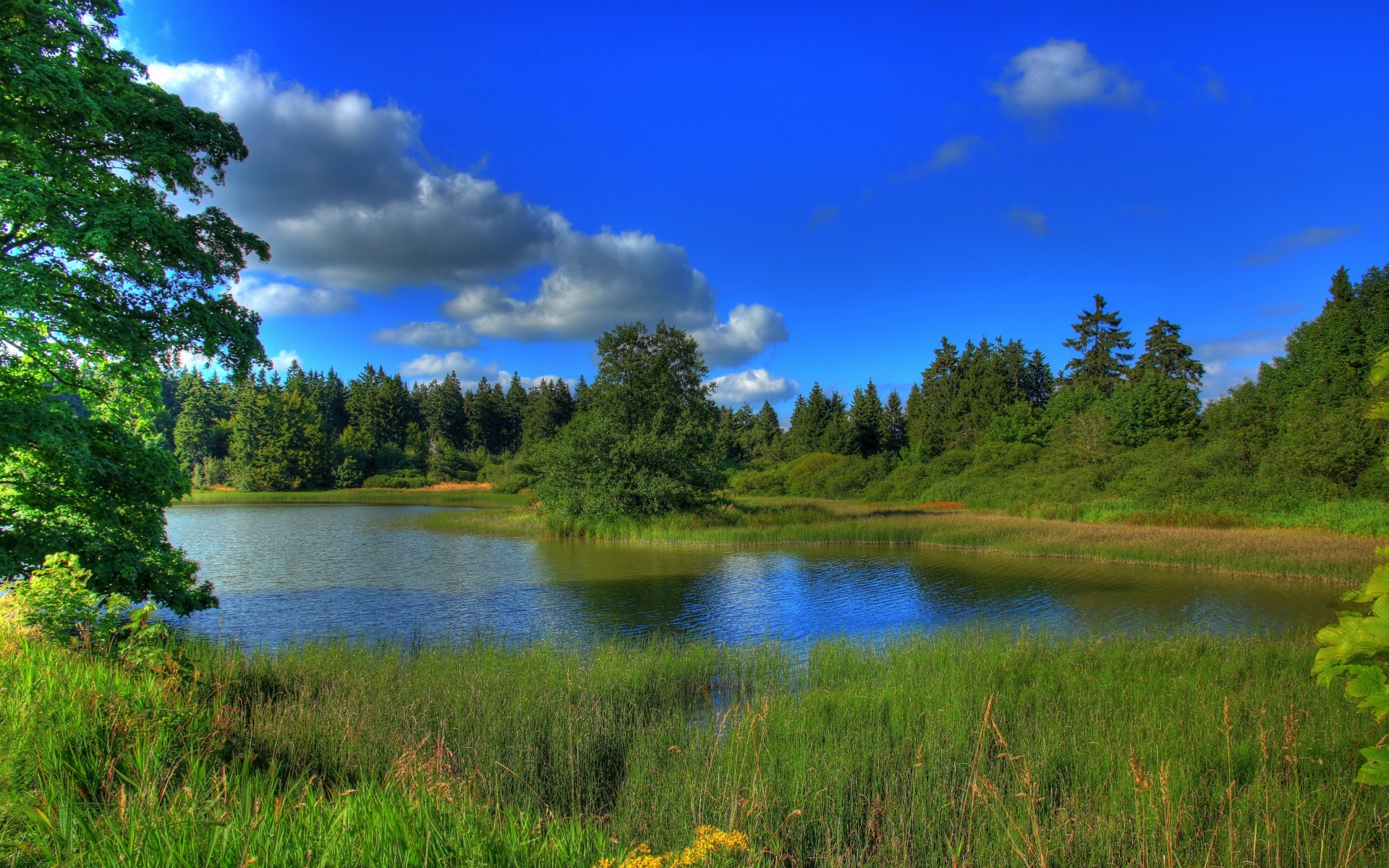 Картинки трава, свет, тень фото и обои на рабочий стол