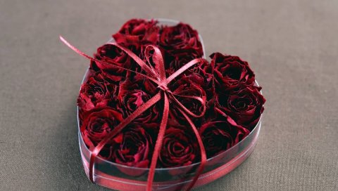 цветы, розы, сердечки, лук