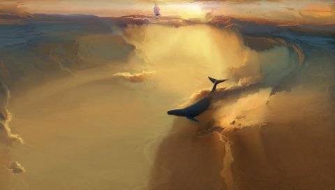 кит, море, плавание, дым