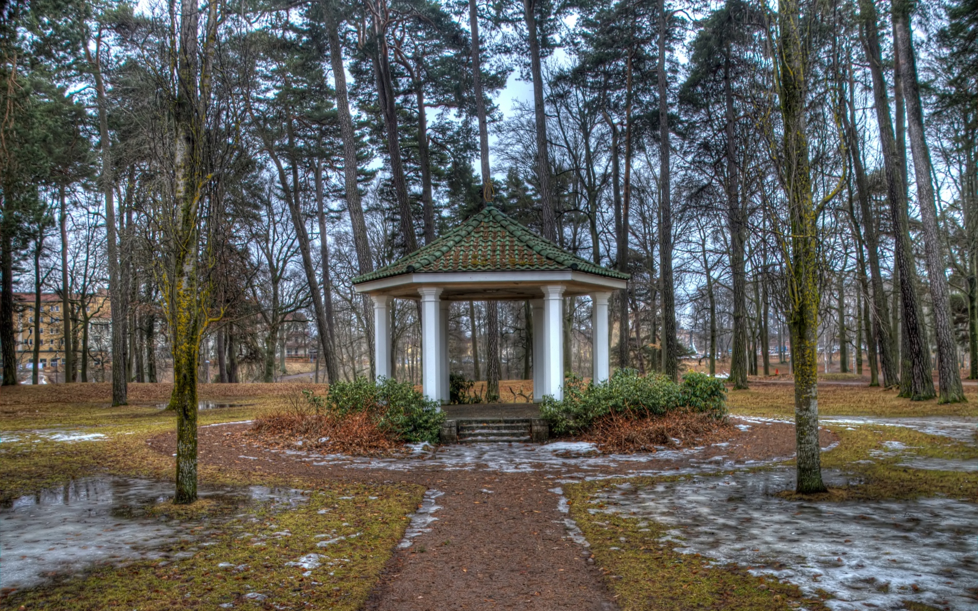 Картинки цветок, руки растение, лепестки фото и обои на рабочий стол