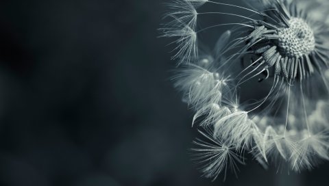 девушка, лицо, улыбка, шарф