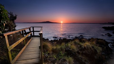 травы, небо, свет, закат, лето