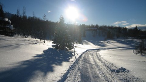 снег, дорога, зима