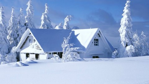 Зима, снег, зима