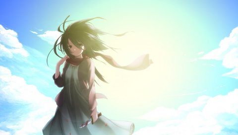 Shingeki no kyojin, mikasa ackerman, аниме, девушка, брюнетка, небо, свет