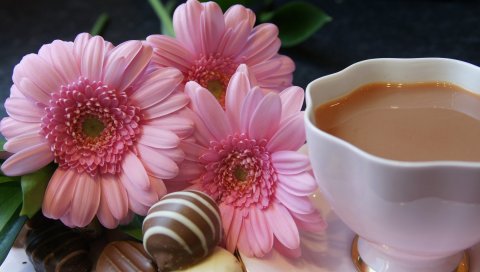 Чай, молоко, конфеты, цветы