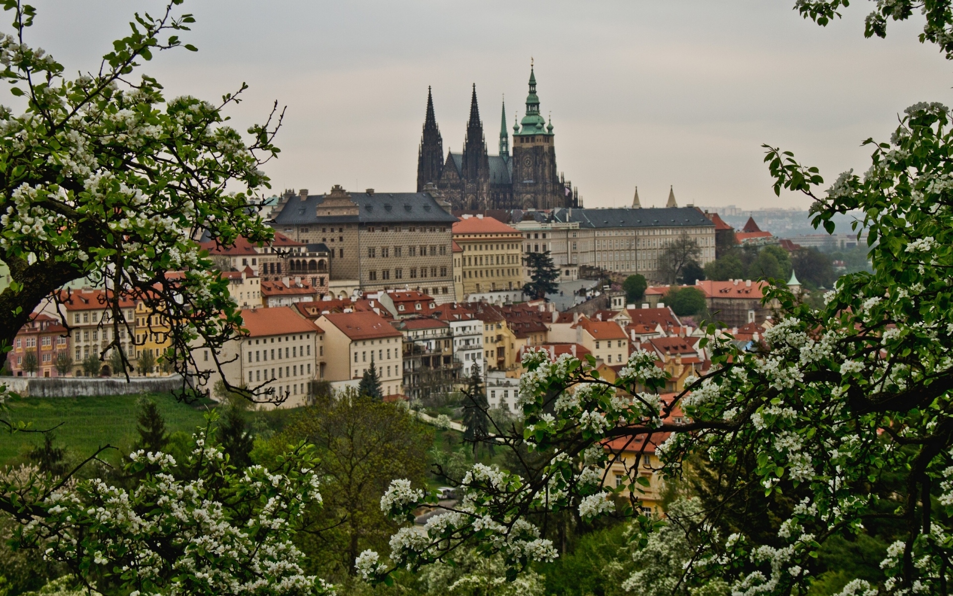Картинки Prague, Чешская республика, вид, деревья, цветение, весна, здание фото и обои на рабочий стол