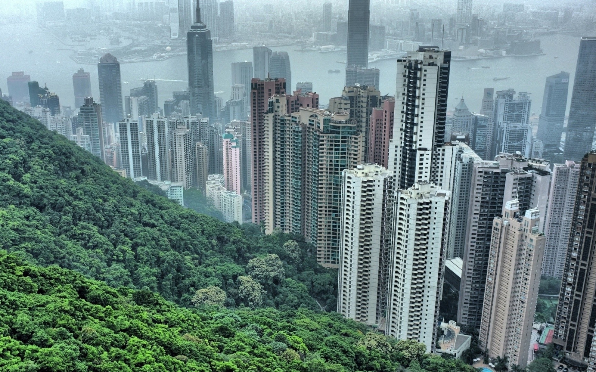 Картинки Hong kong, здания, небоскребы, деревья фото и обои на рабочий стол