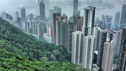 Hong kong, здания, небоскребы, деревья