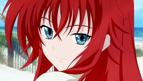 Gremory rias, девушка, волосы, глаза