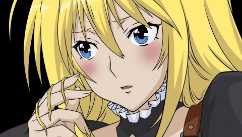 Sekirei, tsukiumi, девушка, лицо