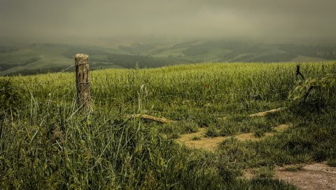 Поле, забор, ночь, пейзаж