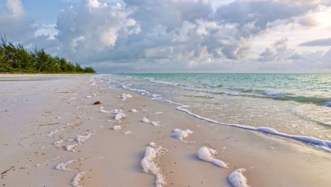 Побережье, зеленый, серфинг, море, песок, природа, пена