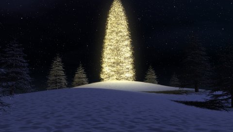 Снег, дерево, новый год, рождество