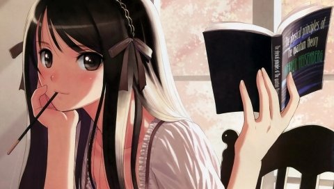 Аниме, девушка, книга, человек