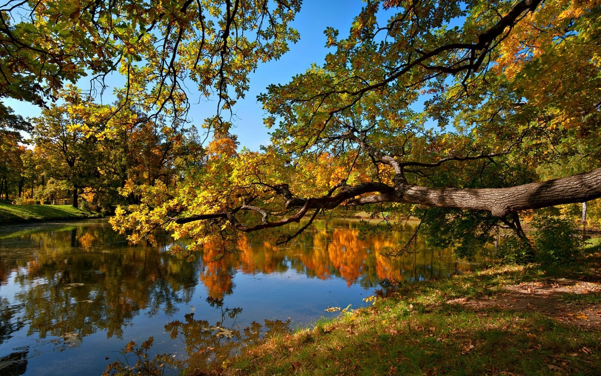 Картинки осень, пруд, фото и обои на рабочий стол
