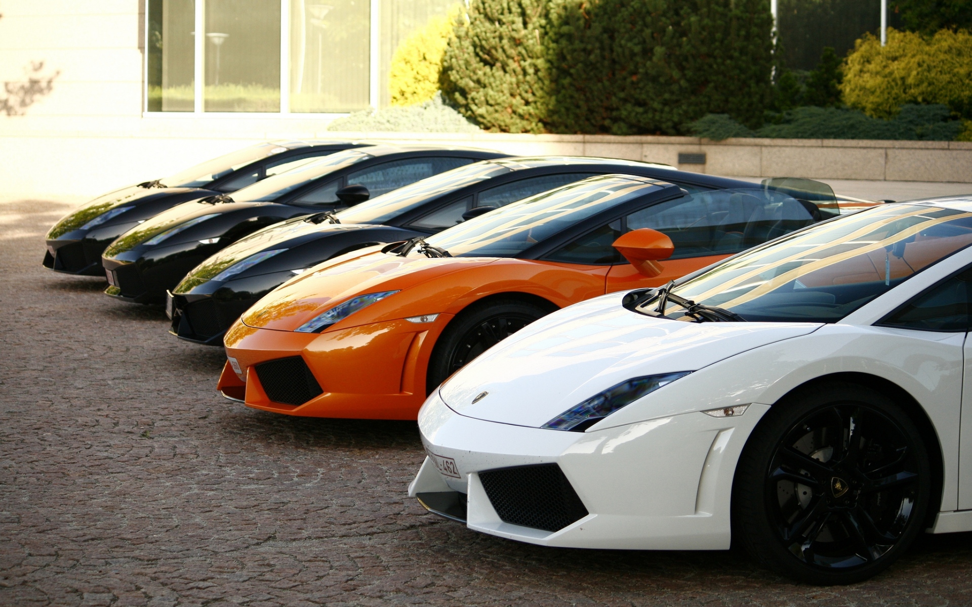 Картинки Гальярдо, деревья, черный, белый, LAMBORGHINI, здание, оранжевый фото и обои на рабочий стол