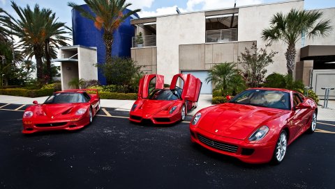 здания, FERRARI, красные, пальмы