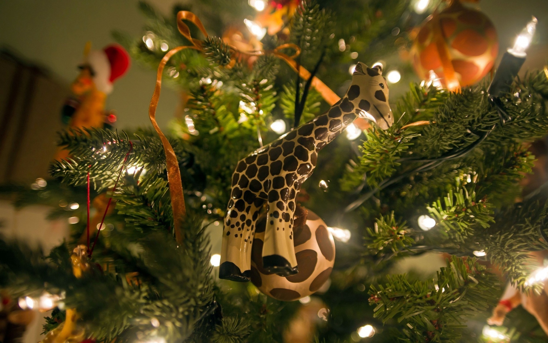 Картинки жирафа, дерево, подарки, новый год фото и обои на рабочий стол