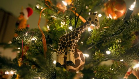 жирафа, дерево, подарки, новый год