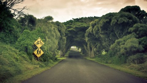 дорога, знак,