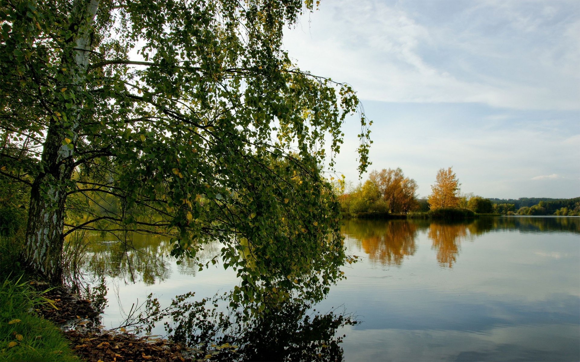 Картинки дерева, река, трава, лето фото и обои на рабочий стол