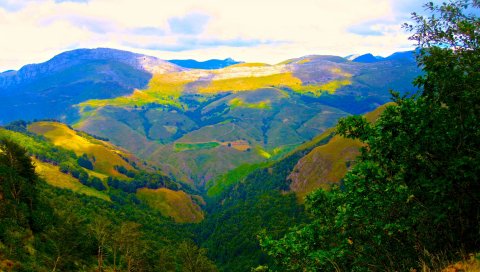 горы, кусты, деревья, пейзаж
