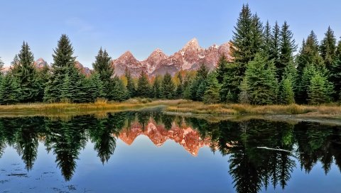 горы, лес, ели, озеро, отражение