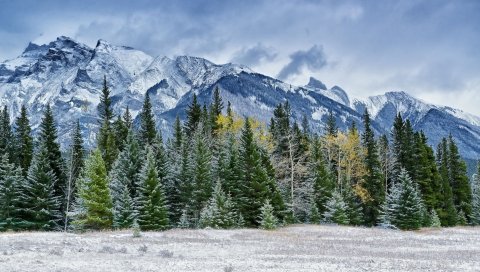 горы, небо, трава, снег , зимние