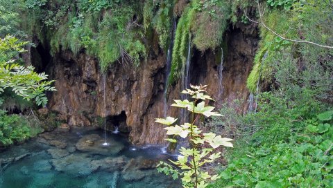 водопад, листья, трава