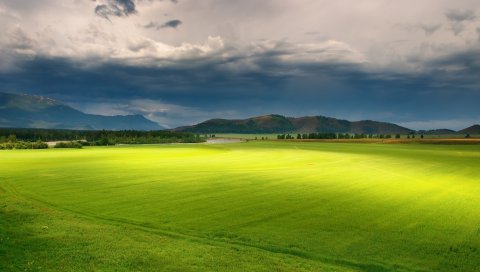трава, небо, облака, свет