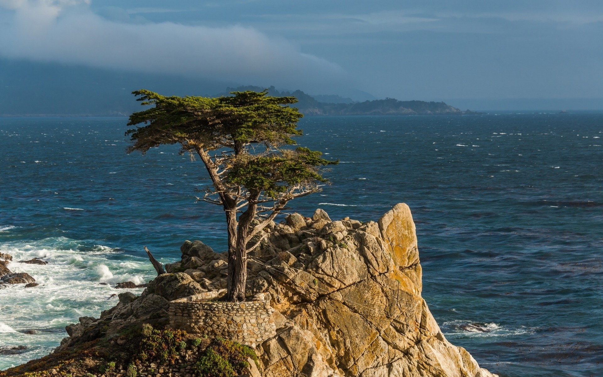 Картинки одинокий кипарис, полуостров Монтерей, Калифорния, тихоокеанский, Monterey, кипарис, дерево, камень, Тихоокеанское побережье фото и обои на рабочий стол