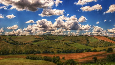 трава, поле, небо , вечером