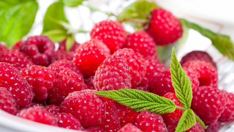 малина , ягоды, вкусные, спелые