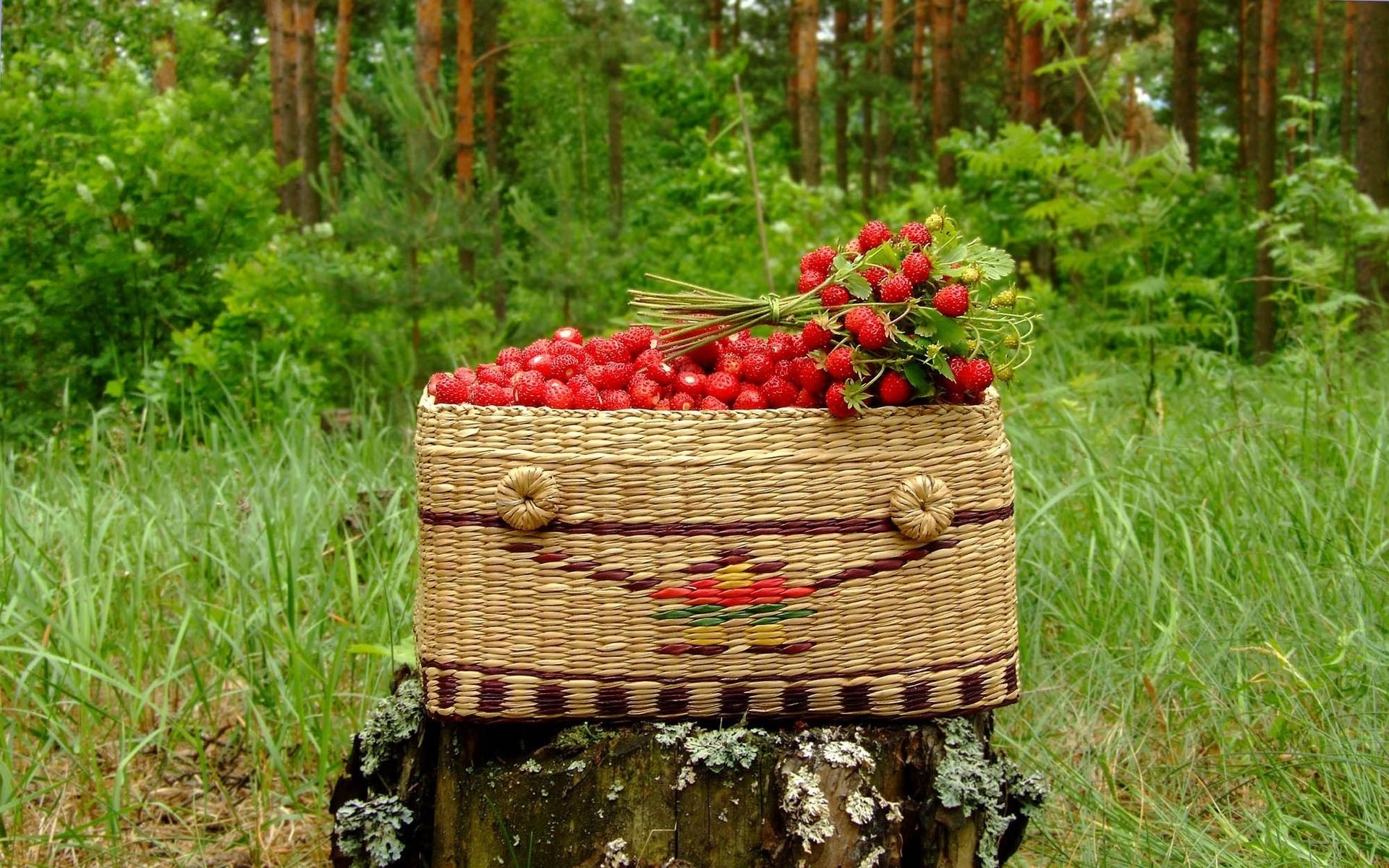 Туесок с ягодами