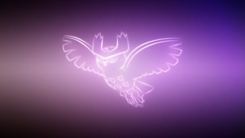Сова, покемон, noctowl