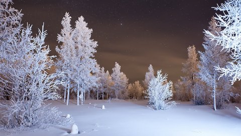 Зима, лес, снег