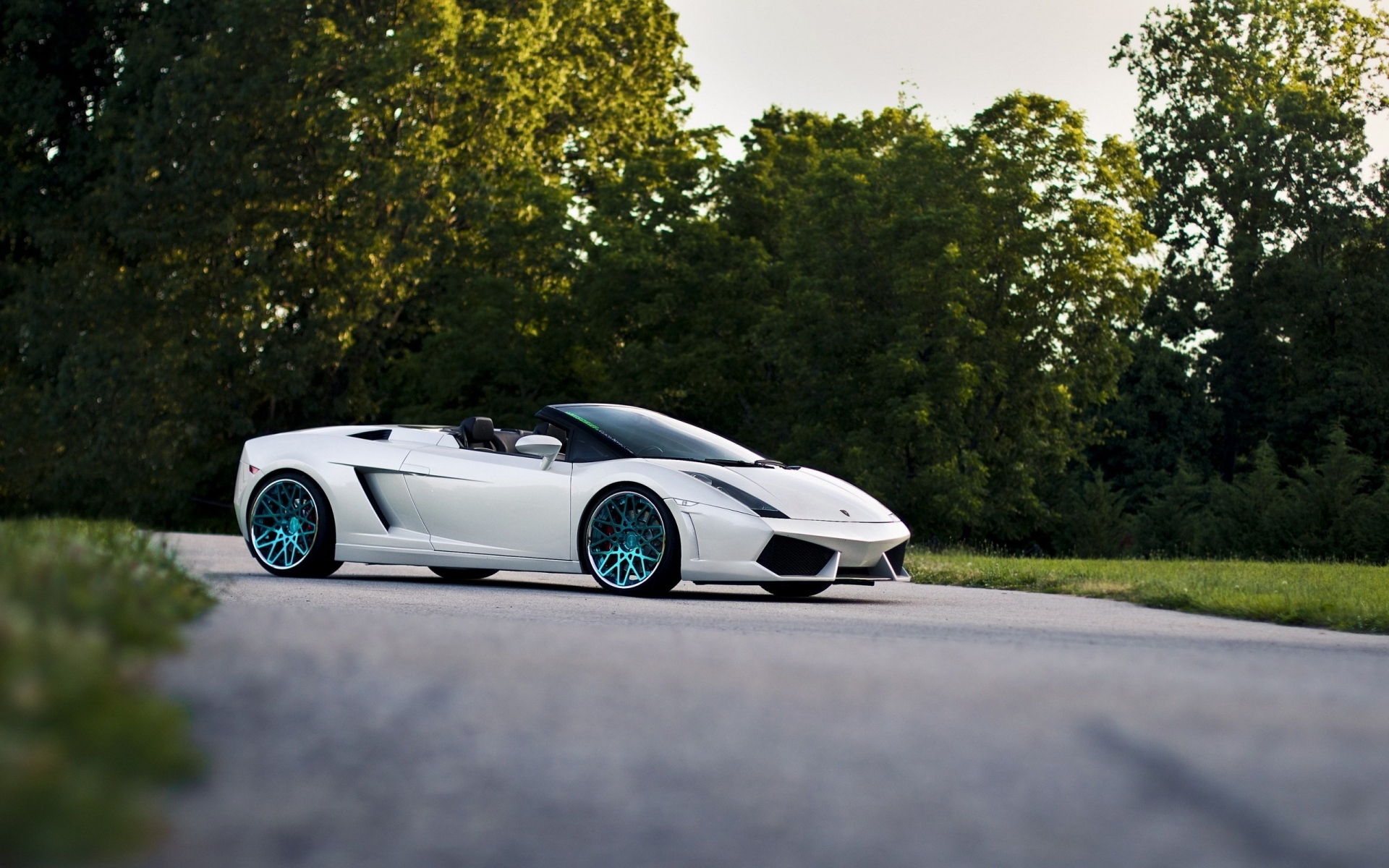 Картинки Lamborghini, автомобили, улица, деревья фото и обои на рабочий стол
