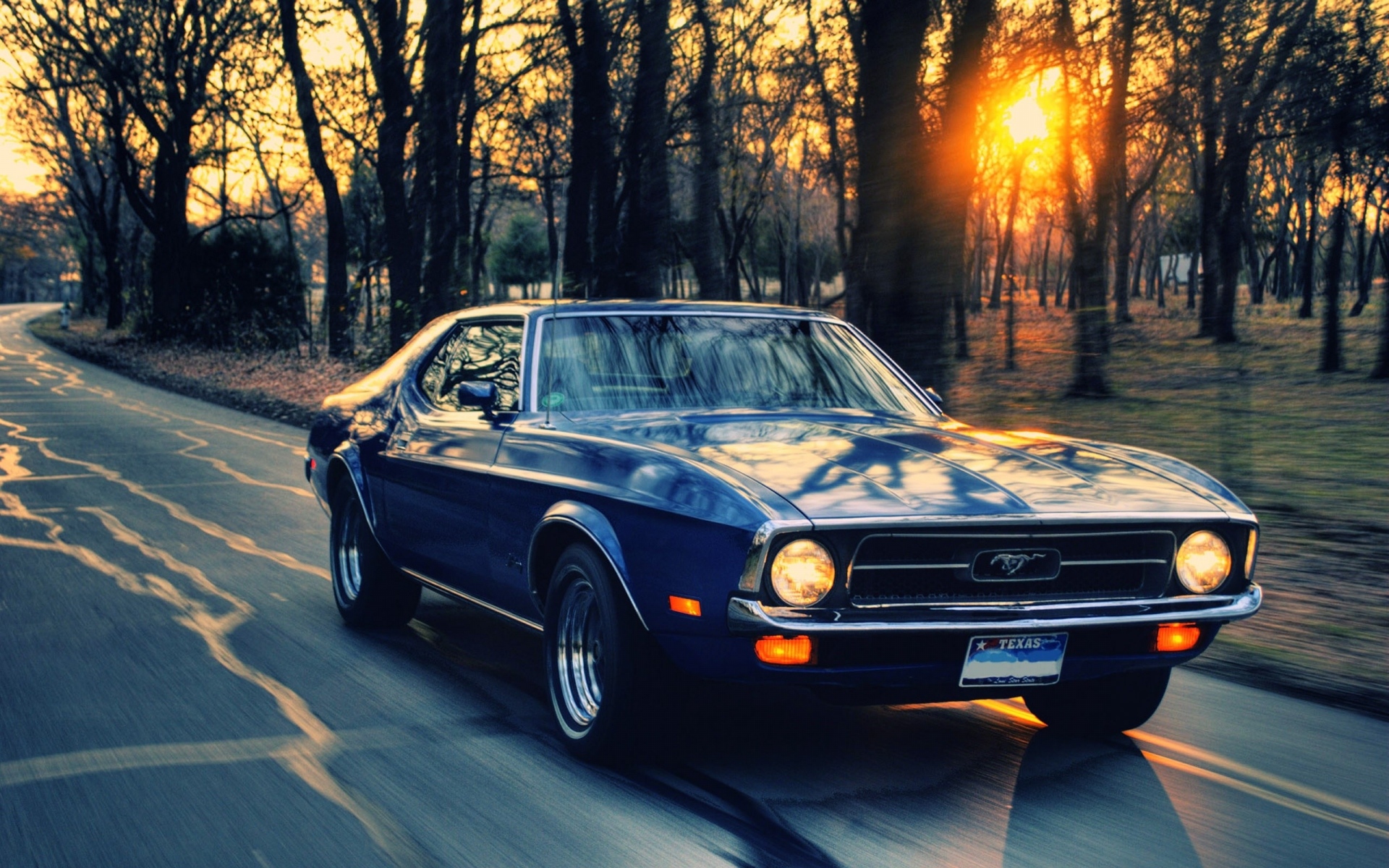 Картинки Ford, mustang, автомобили, трафик фото и обои на рабочий стол