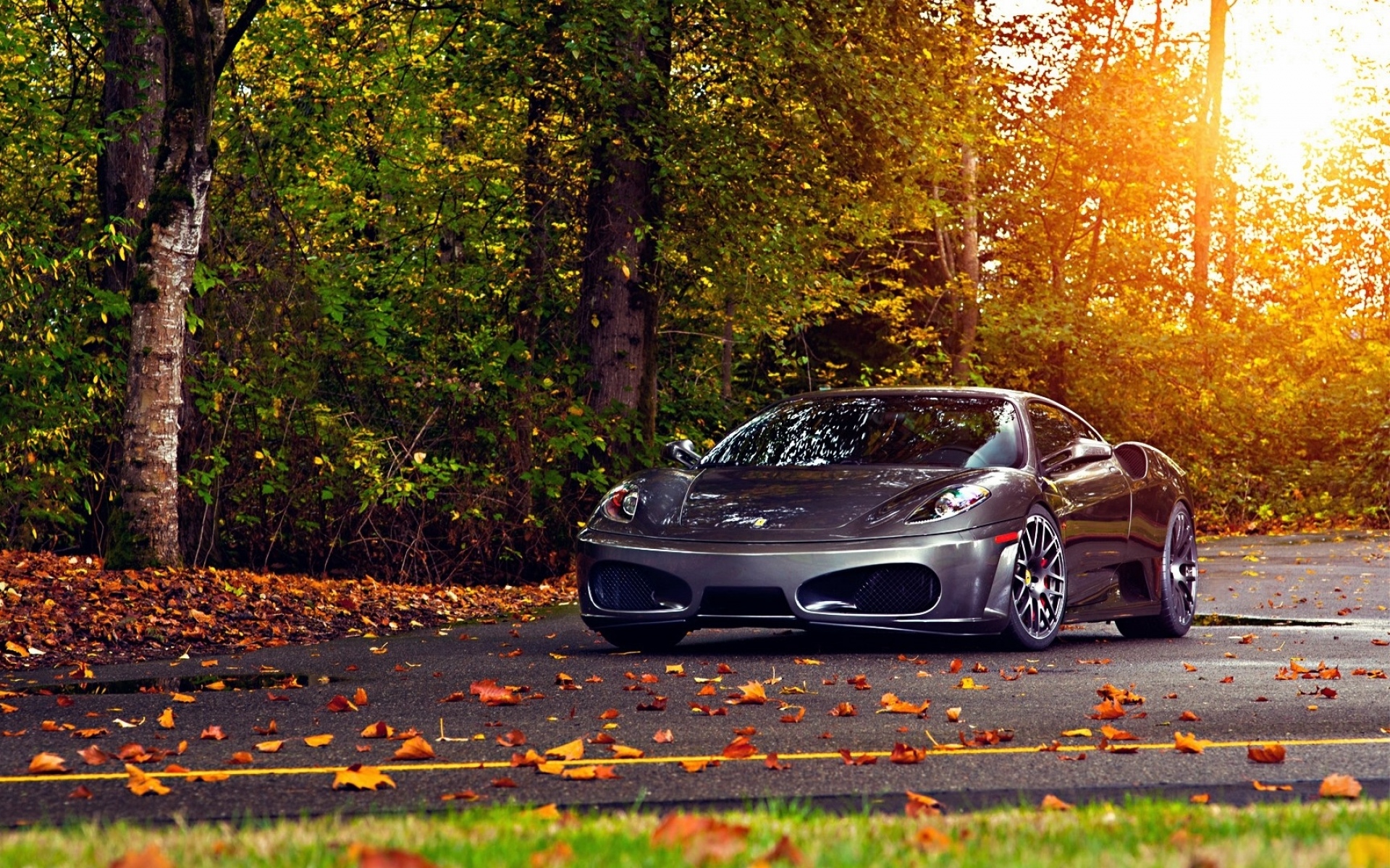 Картинки Деревья, листья, ferrari, ferrari f430 scuderia, осень фото и обои на рабочий стол
