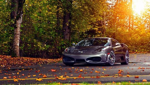 Деревья, листья, ferrari, ferrari f430 scuderia, осень
