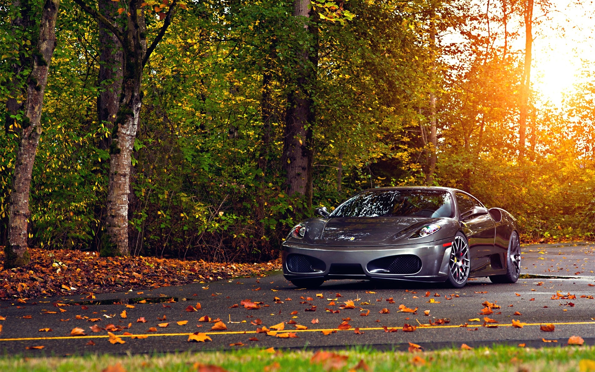 Картинки Ferrari, 430, scuderia, парк, осень, авто фото и обои на рабочий стол