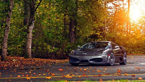 Ferrari, 430, scuderia, парк, осень, авто